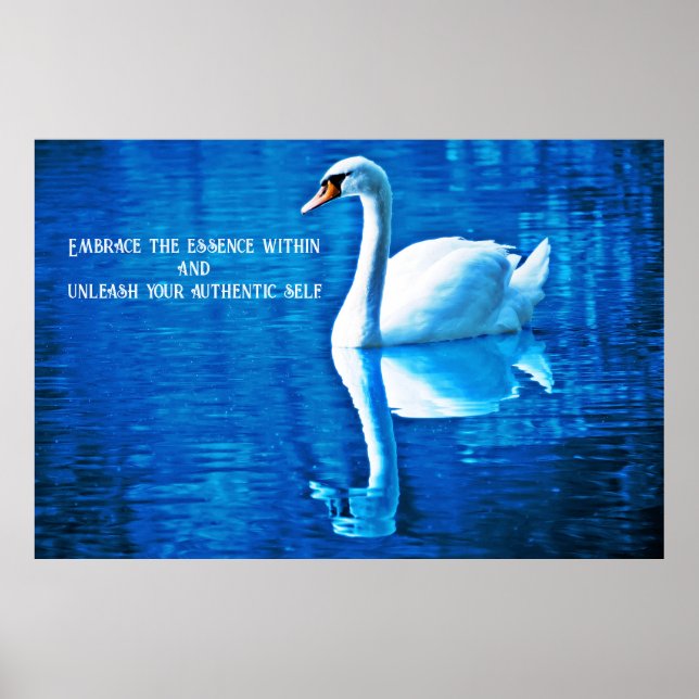 Póster Cita inspiradora Reflexión de cisne azul y blanco (Frente)