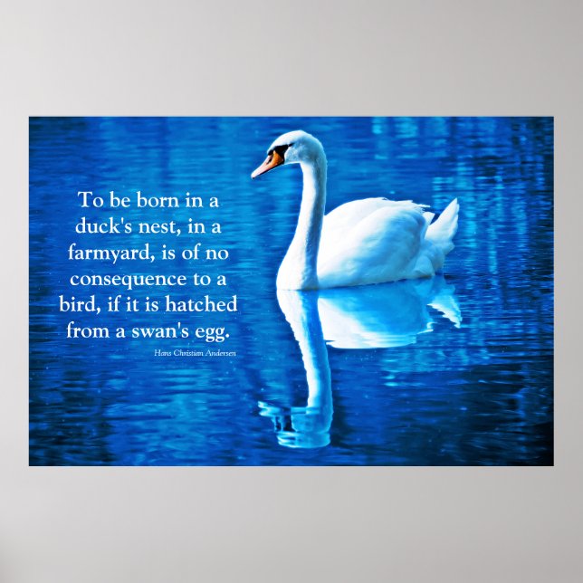Póster Cita inspiradora Reflexión de cisne azul y blanco (Frente)
