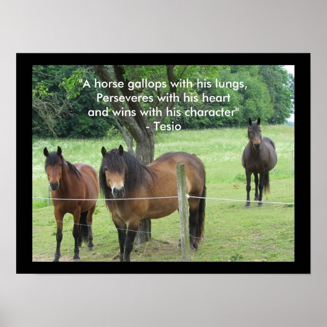 Póster Cita motivacional con caballos (Frente)