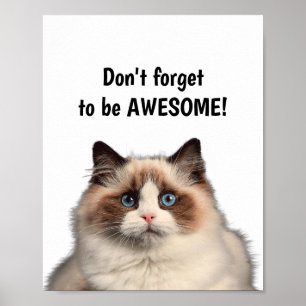 Póster Cita motivacional, no te olvides de ser un gato ge