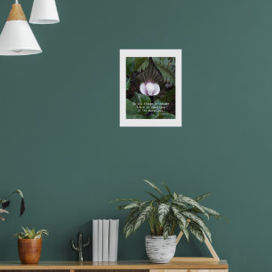 Póster Cita natural de Aristóteles de la planta de plupit