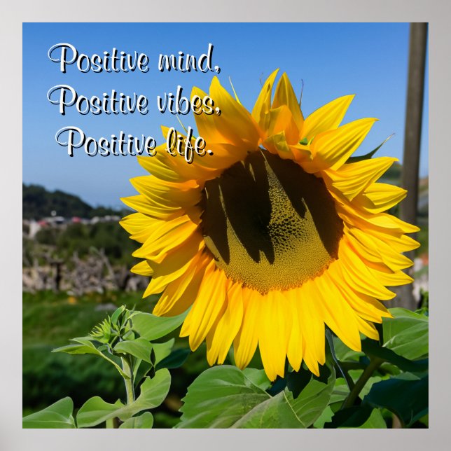 Póster Cita personalizada de imagen simple de girasol (Frente)