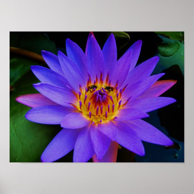 Póster Cita secreta (Frente)