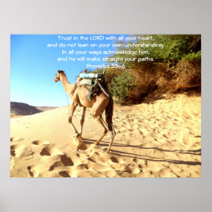 Póster Cita sobre proverbios de la biblia sobre proverbio