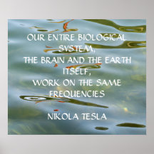 CITACIÓN DE NIKOLA TESLA - MISMAS FRECUENCIAS -
