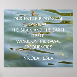 PÓSTER CITACIÓN DE NIKOLA TESLA - MISMAS FRECUENCIAS -