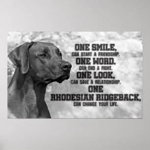 Póster Citas de Rhodesian Ridgeback