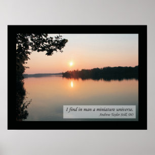 Póster Citas osteopáticas y poster de la salud de los