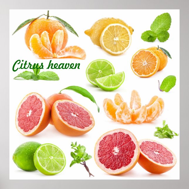 Póster Citrus cielo para los amantes de la fruta (Frente)