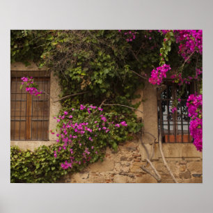 Póster Ciudad Monumental, edificios cubiertos de flores