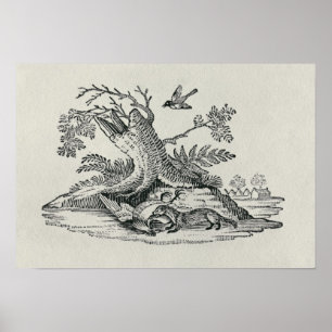 Póster Civet with Cockerel from 'History of Quadrupeds'