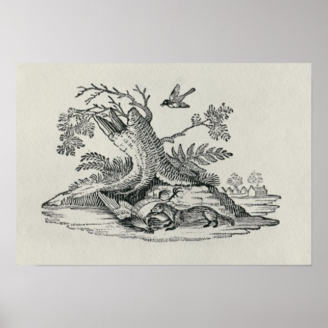 Póster Civet with Cockerel from 'History of Quadrupeds' (Frente)