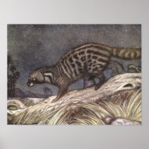 Póster Civeta americana por Louis Sargent, Animales Antig
