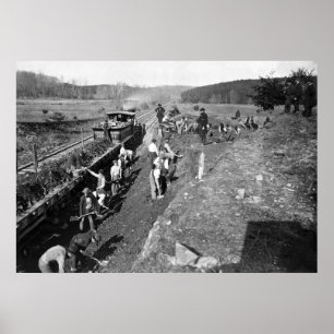 Póster Civil War Railroad at Clifton, Virginia, 1863