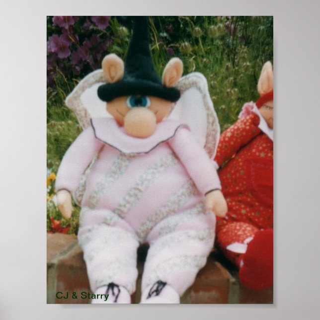 Póster CJ y Starry (Frente)