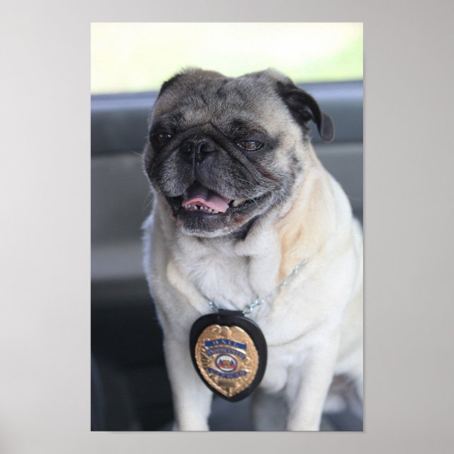 Póster Clark al pug el cazador de los bounty (Frente)