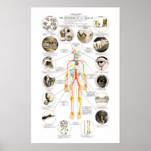 Póster Clark Dental Health Chart for Dentist