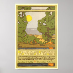 Póster Claro de luna en Duneland