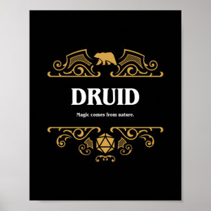 Póster Clase Druid Tabletop RPG Gaming