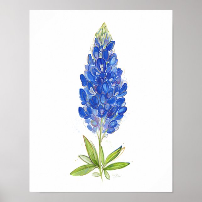 Póster Clásica de agua única en Texas Bluebonnet Art (Frente)