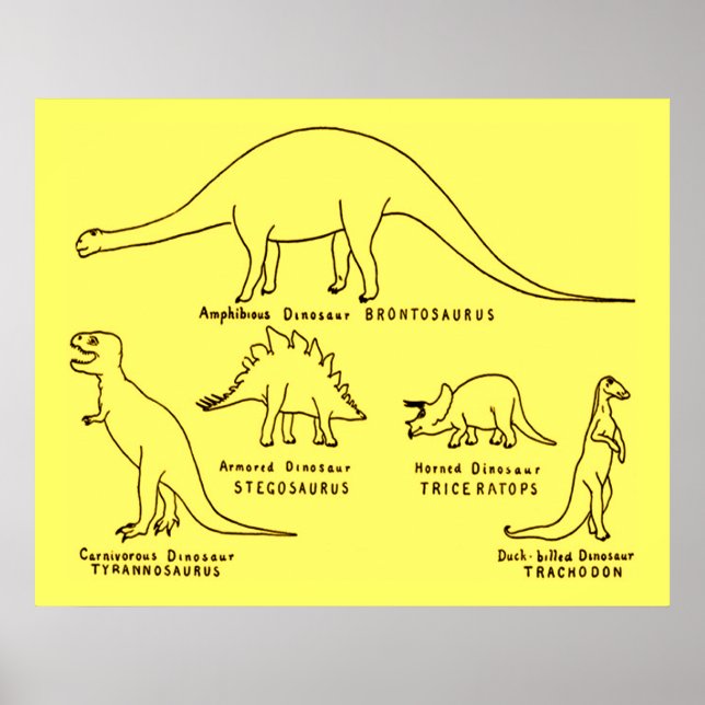 Póster Clasificación de Dinosaurios (Frente)