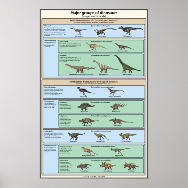 Póster Clasificación de dinosaurios simplificada (Frente)