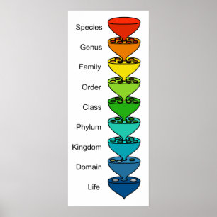 Póster Clasificación de la Diversidad de la Vida Orgánica