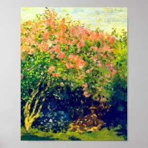 Póster Claude Monet