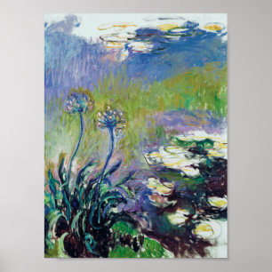 Póster Claude Monet - Agapanthus,