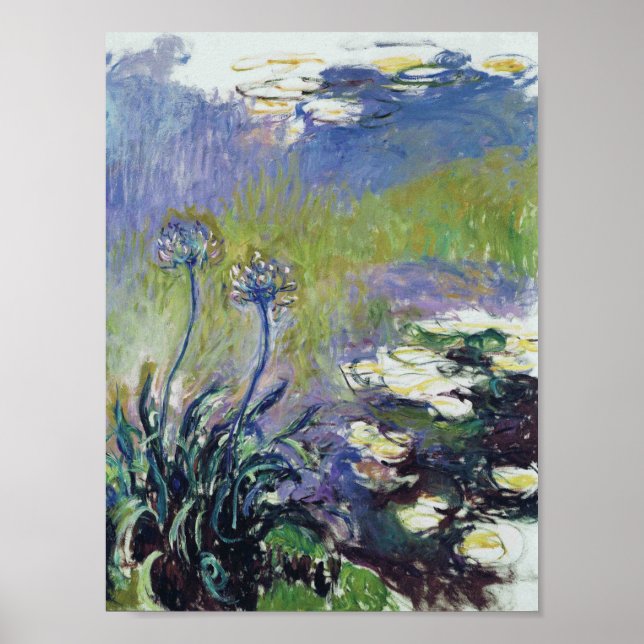 Póster Claude Monet - Agapanthus, (Frente)