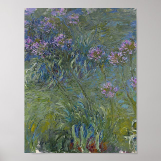 Póster Claude Monet - Agapanthus (Frente)