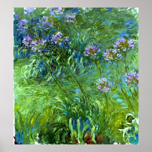 Póster Claude Monet: Agapanthus (Frente)