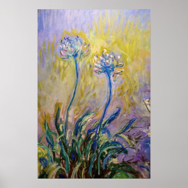 Póster Claude Monet - Agapanthus (Frente)