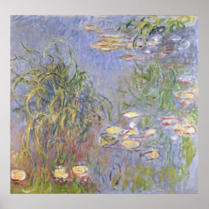 Póster Claude Monet   Algas de agua, grupo de hierbas