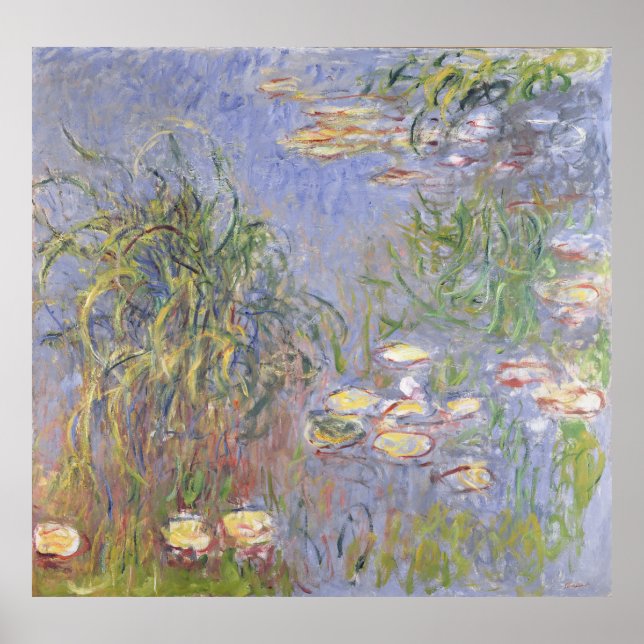 Póster Claude Monet | Algas de agua, grupo de hierbas (Frente)