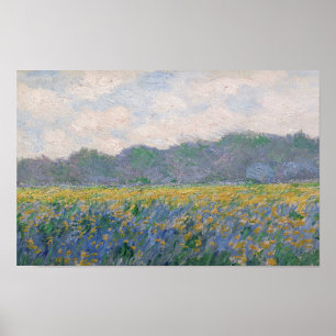 Póster Claude Monet - Campo de Lirios Amarillos en Givern