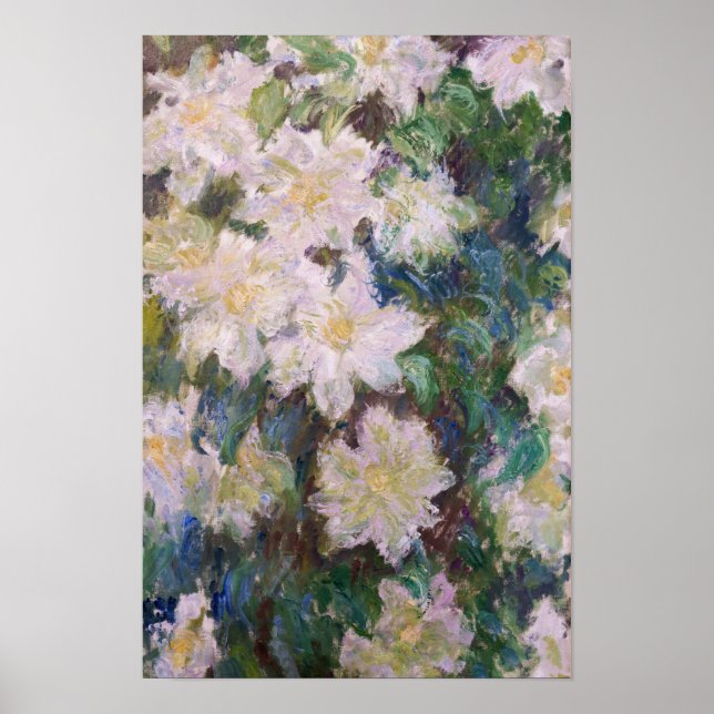 Póster Claude Monet - Clemátide Blanca (Frente)