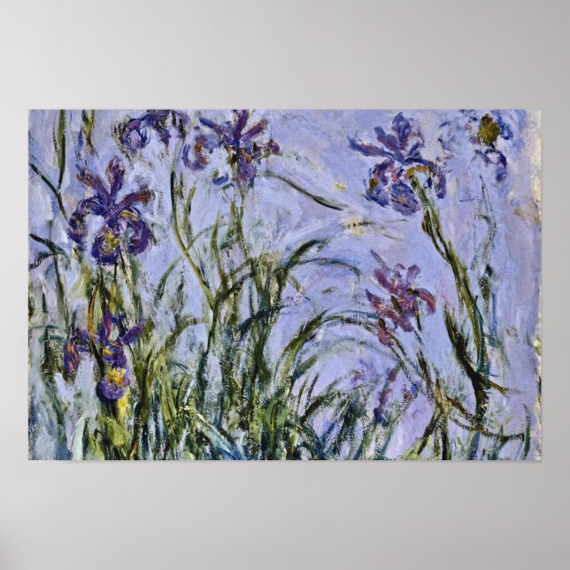 Póster Claude Monet - Iris Mauves (Frente)