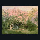 Póster Claude Monet | Lilac en el Sol, 1873<br><div class="desc">Lilac en el sol,  1873 | por Claude Monet | Ubicación del arte: Museo Pushkin,  Moscú,  Rusia | Artista francés | Número de colección de imágenes: XIR182548</div>