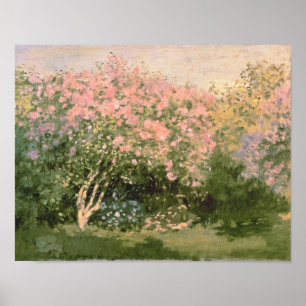 Póster Claude Monet   Lilac en el Sol, 1873