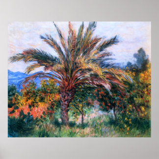 Póster Claude Monet: Palmera en Bordighera