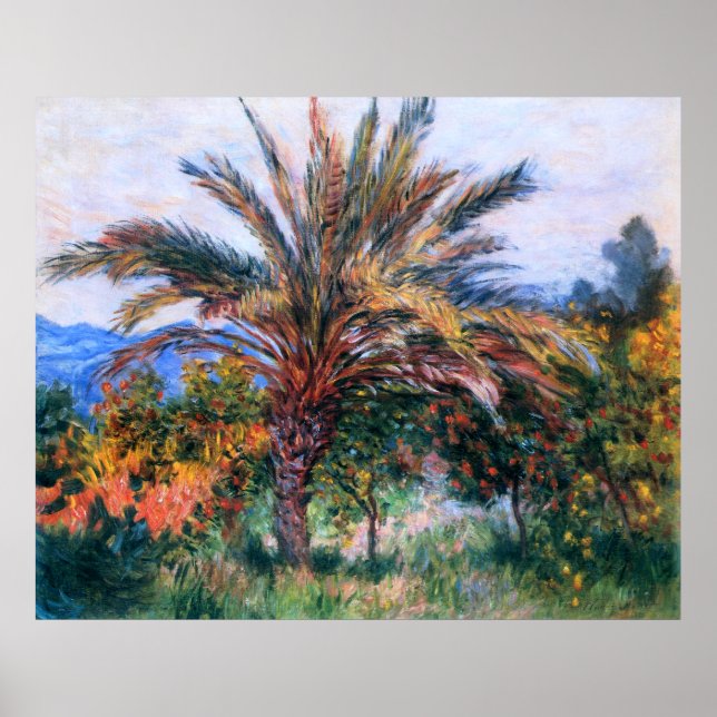 Póster Claude Monet: Palmera en Bordighera (Frente)