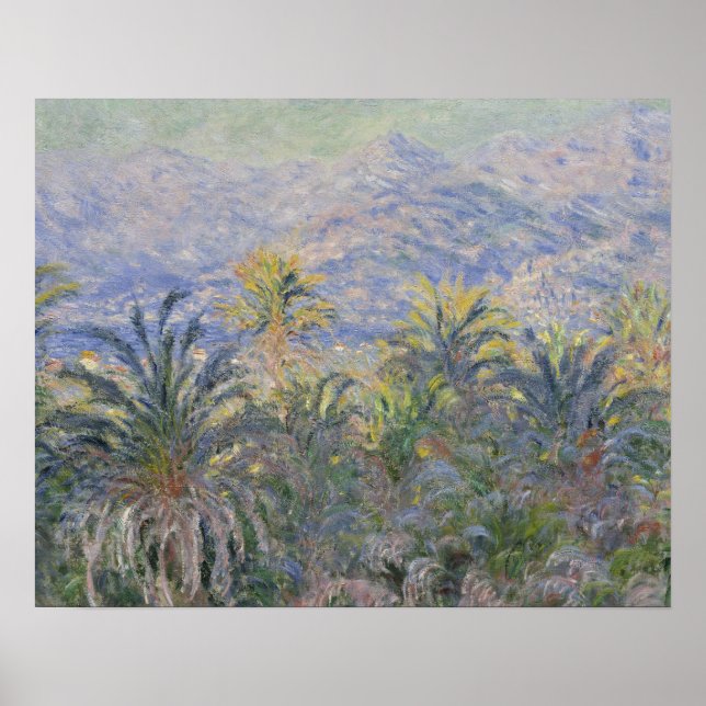 Póster Claude Monet - Palmeras en Bordighera (Frente)