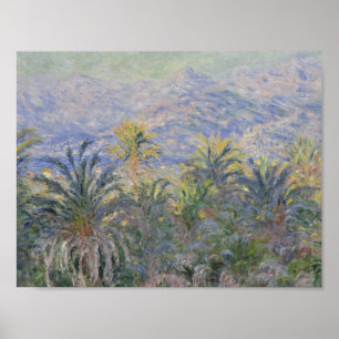 Póster Claude Monet - Palmeras en Bordighera