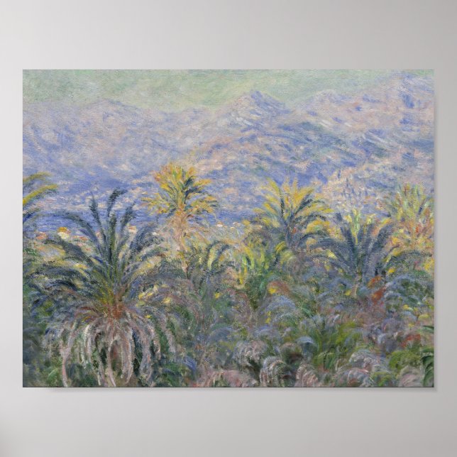 Póster Claude Monet - Palmeras en Bordighera (Frente)