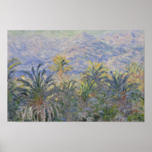 Póster Claude Monet - Palmeras en Bordighera