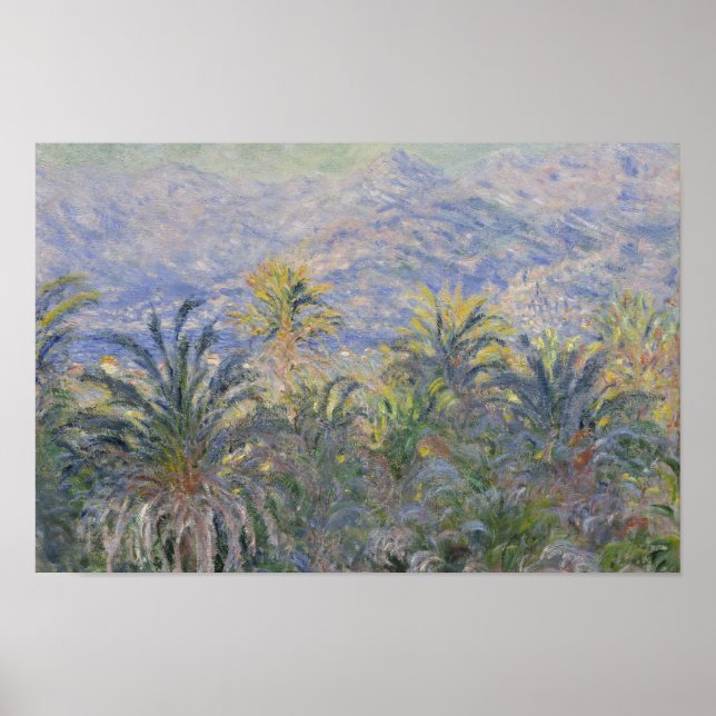 Póster Claude Monet - Palmeras en Bordighera (Frente)