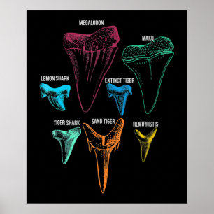 Póster Clave de identidad de caza de dientes de tiburón