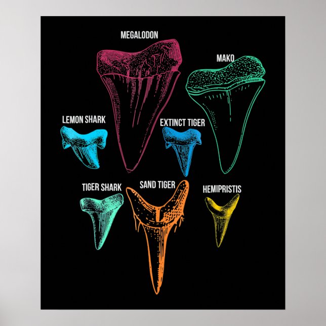 Póster Clave de identidad de caza de dientes de tiburón (Frente)