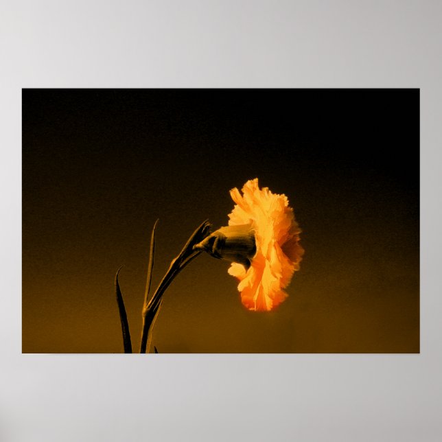 Póster clavel (Frente)